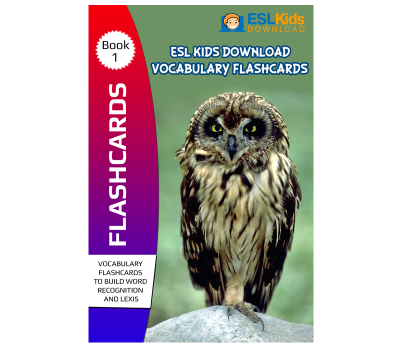 flashcard ebooks for esl practice