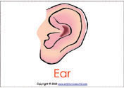 diphthong ear%20flashcards