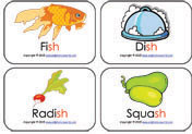 Ending Sound Mini Flashcards | Ending Blend Phonics Flash Cards